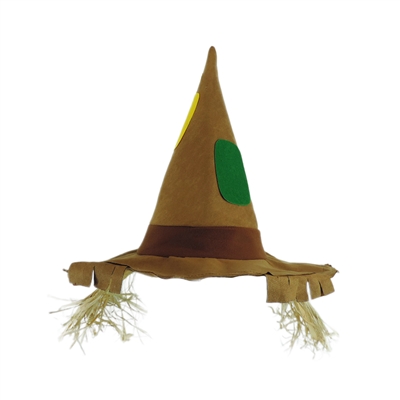 Pointed Scarecrow Raggedy Costume Hat w/ Raffia Hair