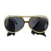 Gold Frame Classic Elvis Costume Sunglasses w/Sideburns