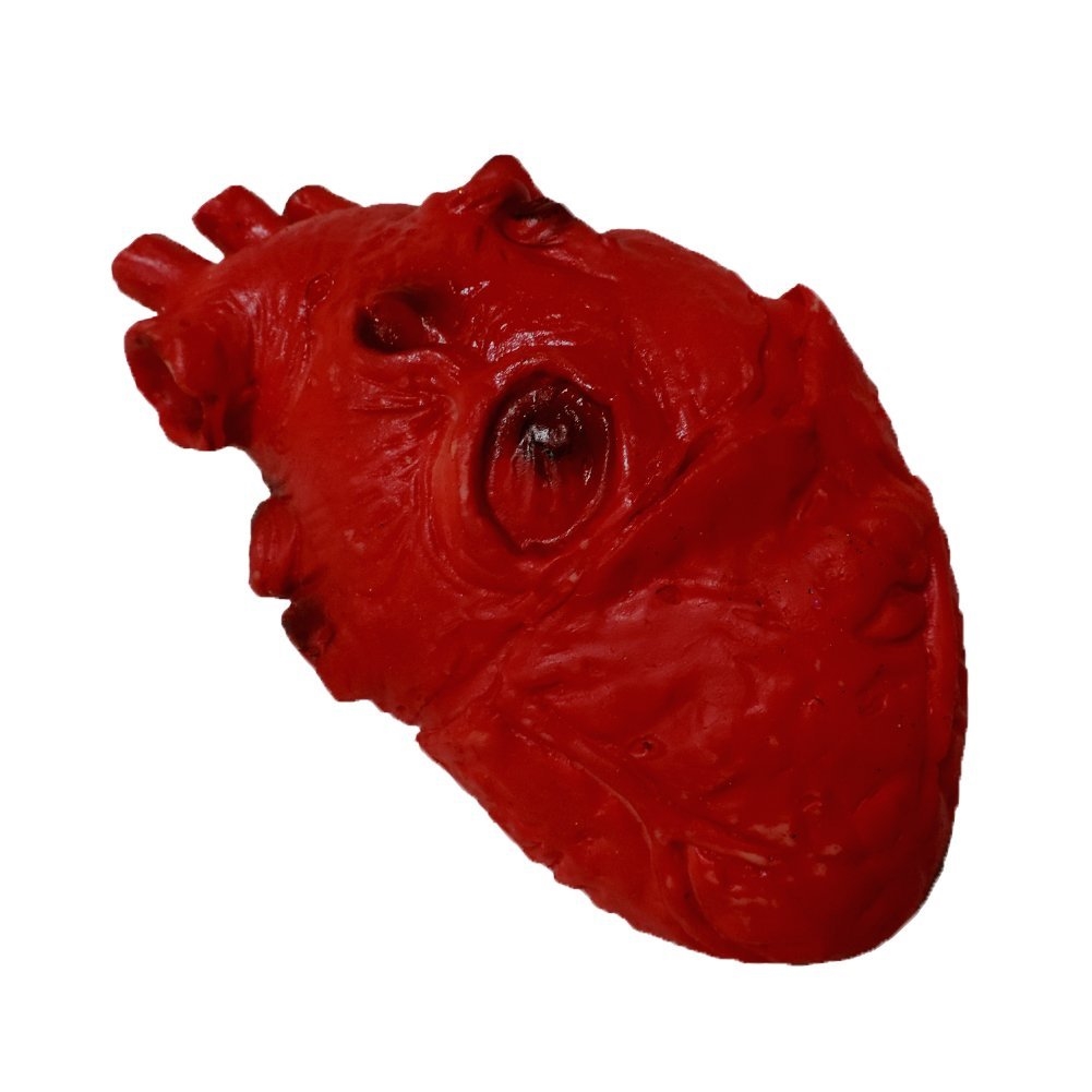 Bloody Foam Heart